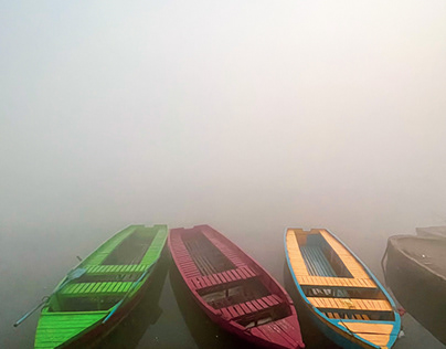 Travel, Newdelhi, mist, mornings