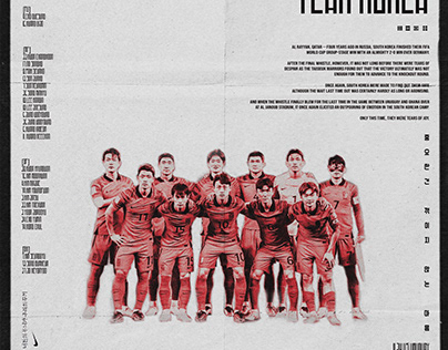 NATIONAL FOOTBALL TEAM : REPUBLIC OF KOREA