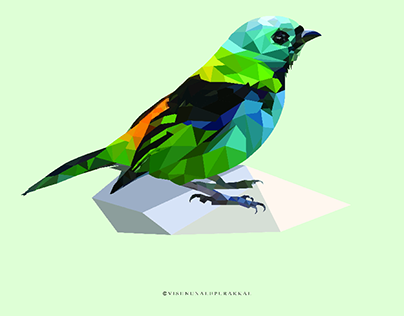 COLOUR BIRD
polygonal drowing illustration.