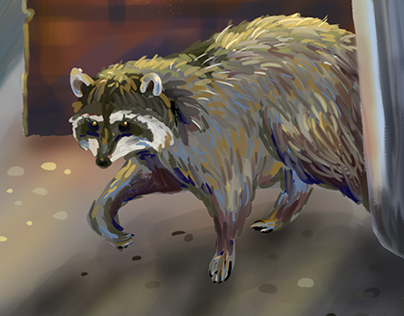 Raccoons - night residents