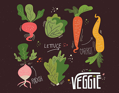 Veggies & Recipe set (Free)