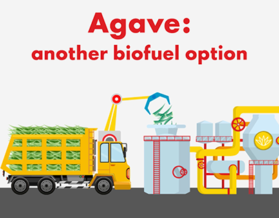 Shell's Research and Development: Agave