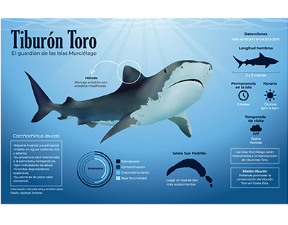 Infografía Tiburón Toro