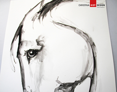 Zeichnung | Aquarell | Pferdekopf
