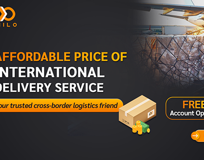 Amilo - International Delivery Service