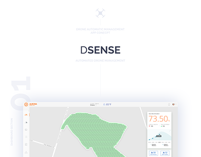 Automatic Drone Management - DSense