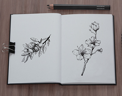 Pen & Ink - Flowering Plants