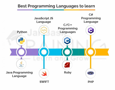 Best Programming Languages to learn Micro-Infographic