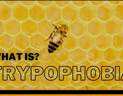 Understanding Trypophobia: Fear of Holes Explained