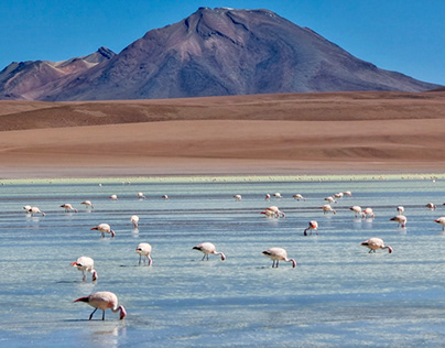 Underrated Bolivia, Lago Hedionda 4100m