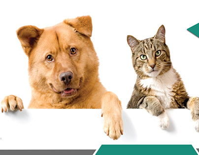 Animal Joint Care Centre - Branding