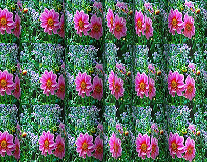 Flower Garden with Dahlias and Borage