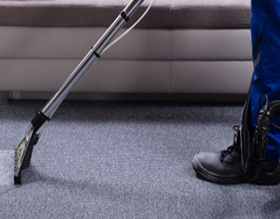 Professional Carpet Cleaning - pros and cons