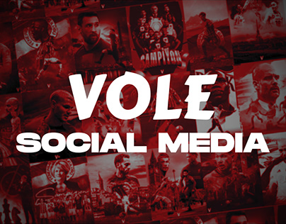VOLE - SOCIAL MEDIA DESIGN