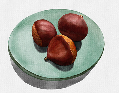 chestnut illustration