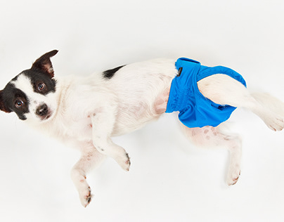 Thankspaw Washable Female Dog Diapers