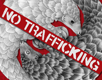The Most Trafficked Mammal