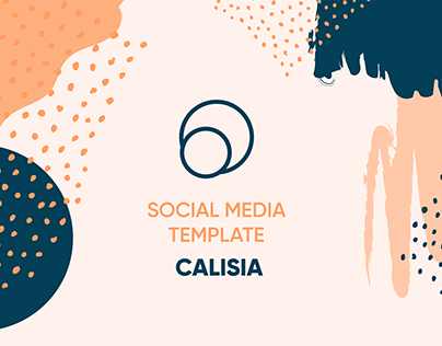 Social Media for Calisia Project