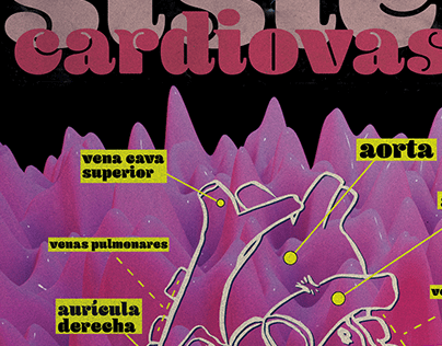 Cardiovascular Poster