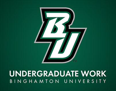 Binghamton University Undergraduate Work