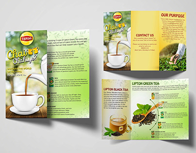 Brochure design (Lipton tea)