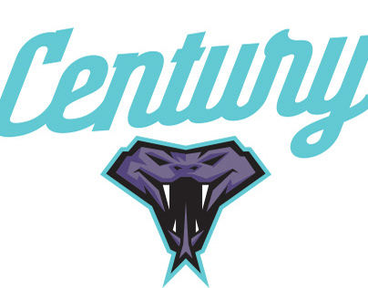 Century High School - branding proposal