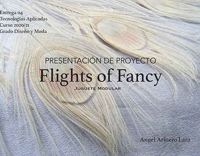 Flights of Fancy (juguete modular)