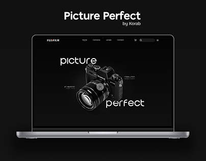 Camera Picture Perfect - Landing Page