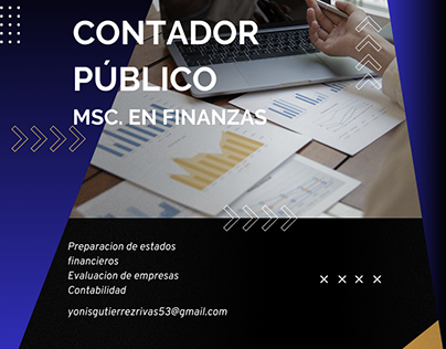 Contador Publico, Asesor financiero