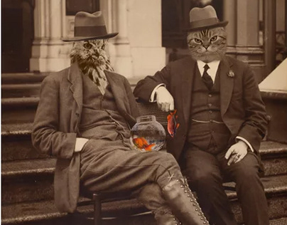 The cat, the owl and two goldfishes