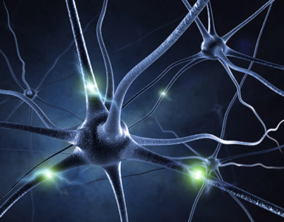 An illustration of neurons in the brain