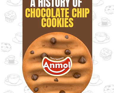 Chocolate Chip Cookies Manufacturer in India