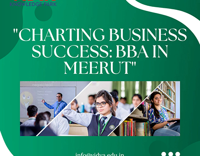 "Charting Business Success: BBA in Meerut"