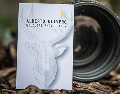 Alberto Olivero - Wildlife Photography
