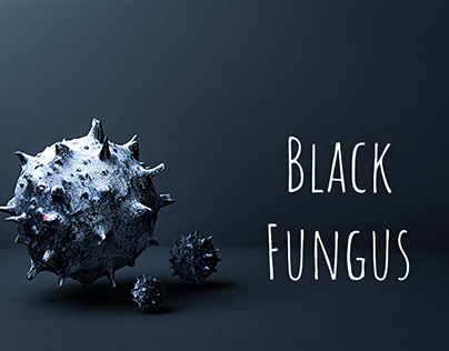 Black Fungus