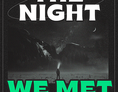 Poster "The night we met"