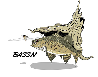 Australian bass