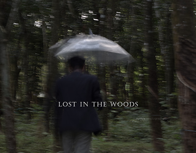 Lost in the woods
