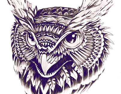 Owl (Drawing)