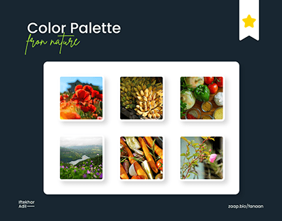 Color Palettes from Nature - Color Scheme Presentation