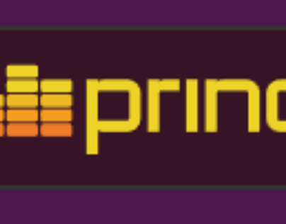 Prince AV | Audio And Video Companies