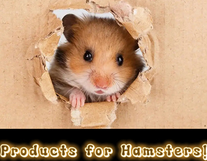 Products for Hamsters