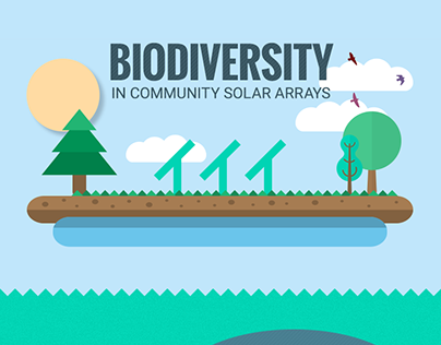 Infographic "Biodiversity in Community Solar Arrays"