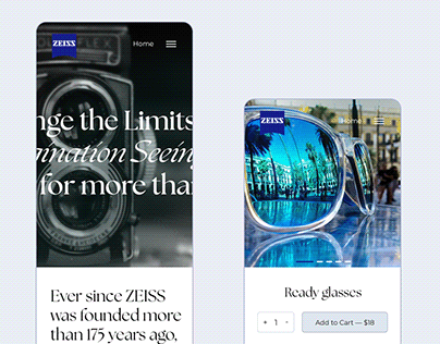 website for the company ZEISS (concept)