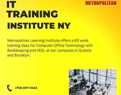 IT Training Institute NY