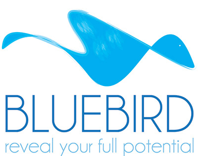 Project thumbnail - Bluebird Logo