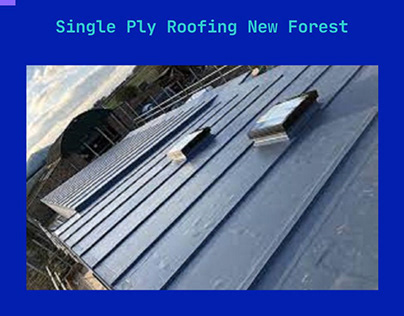 Single Ply Roofing New Forest