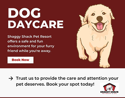 Best Dog Daycare Services in Washington
