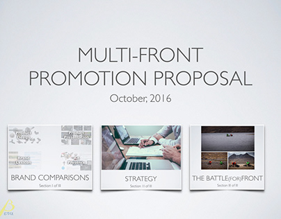 SHIMANO / Market Research & Promotion Proposal