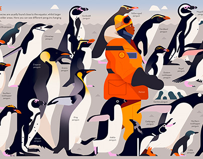 Owen Davey - Passionate About Penguins